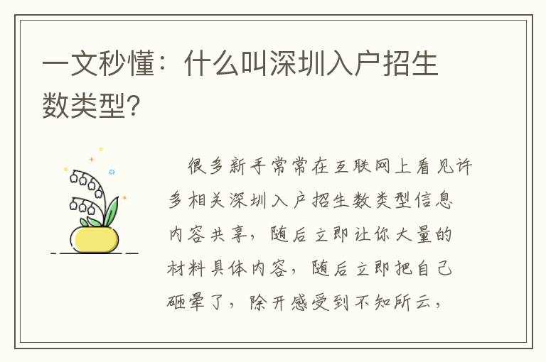 一文秒懂：什么叫深圳入戶招生數類型？