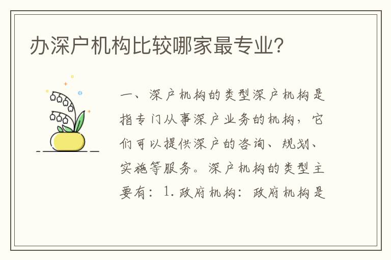 辦深戶機(jī)構(gòu)比較哪家最專業(yè)？