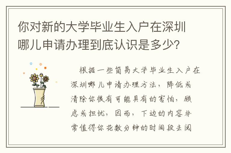 你對新的大學畢業生入戶在深圳哪兒申請辦理到底認識是多少？