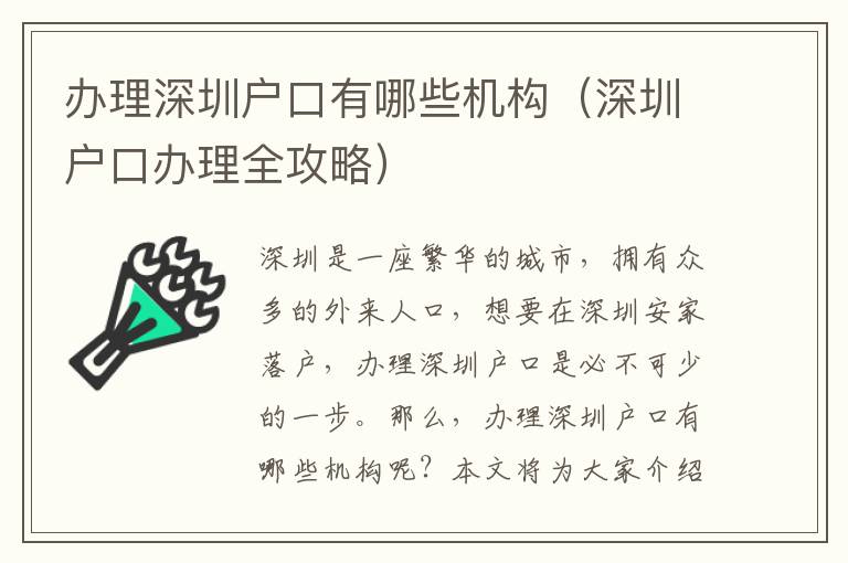 辦理深圳戶口有哪些機(jī)構(gòu)（深圳戶口辦理全攻略）