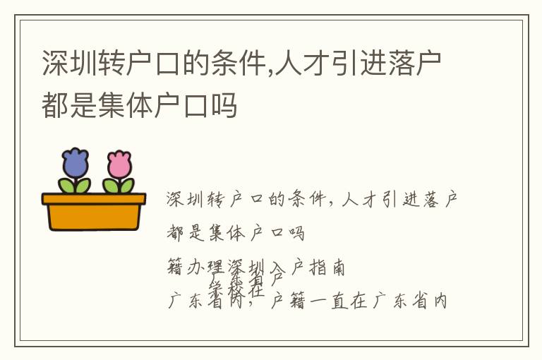 深圳轉(zhuǎn)戶口的條件,人才引進落戶都是集體戶口嗎