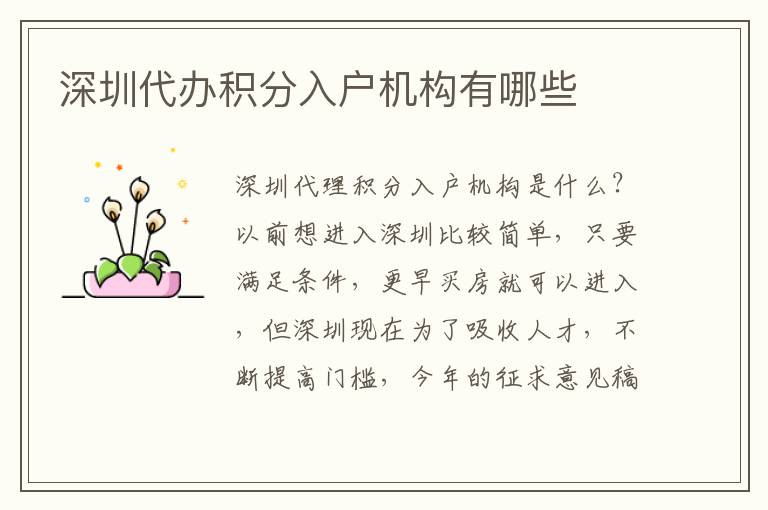 深圳代辦積分入戶機構(gòu)有哪些