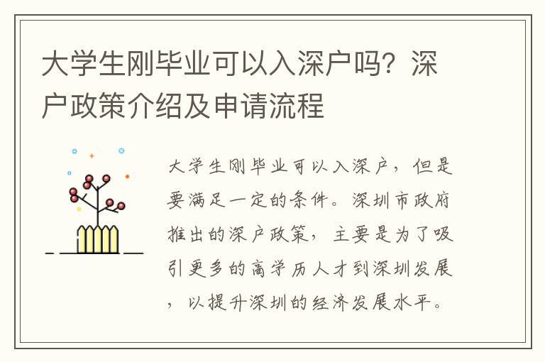 大學(xué)生剛畢業(yè)可以入深戶嗎？深戶政策介紹及申請流程