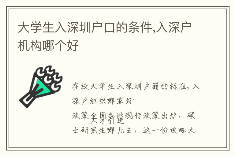 大學(xué)生入深圳戶口的條件,入深戶機構(gòu)哪個好