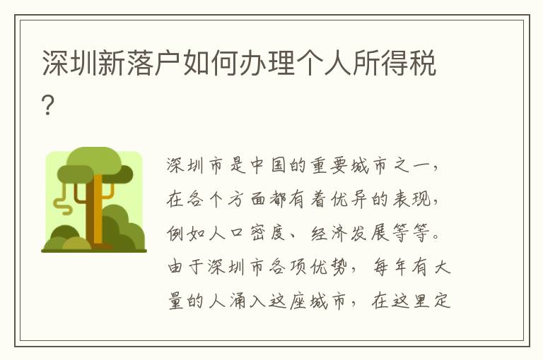 深圳新落戶如何辦理個人所得稅？